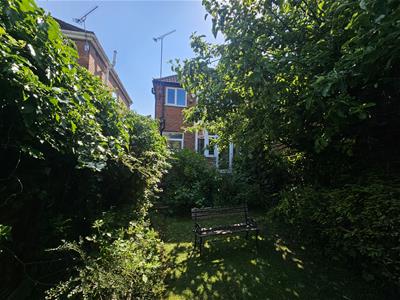 Picture 7